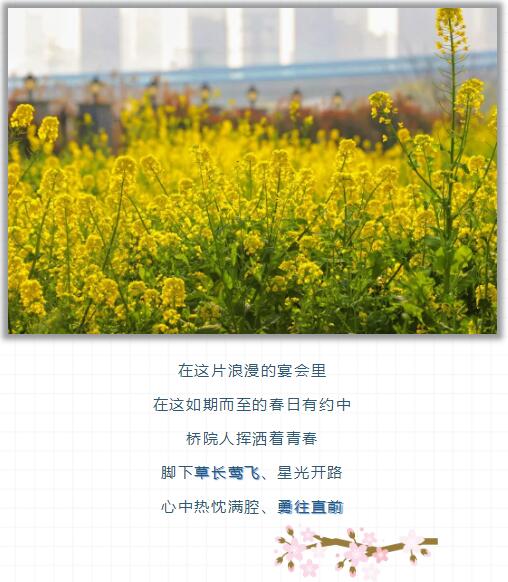 QQ截图20220325112328.jpg